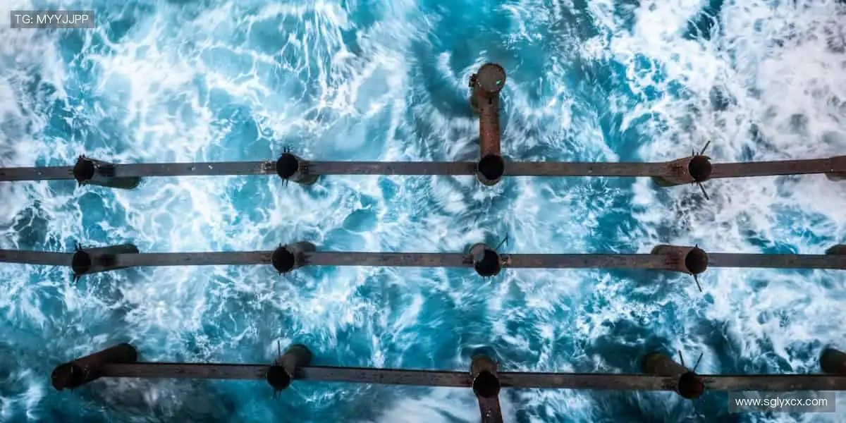 运动装备，你的专属战衣！👟